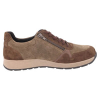 DB Shoes Hector Brown/Khaki Shoes 2V