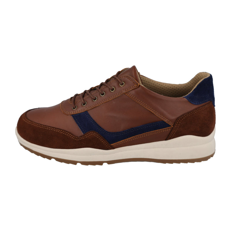 DB Shoes Benedict Shoes 89240T Tan / Navy 2V