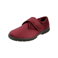 DB Shoes Daniel Burgundy Shoes 2V