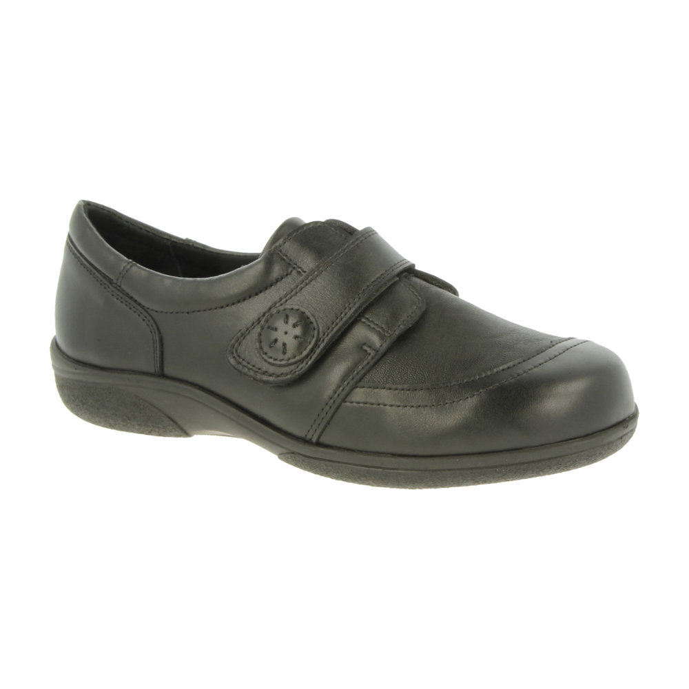 DB Shoes Owl Black / Stretch Shoes 6V